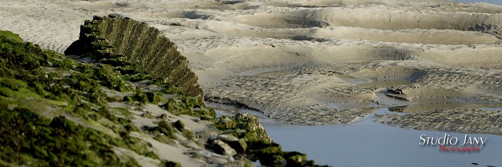 Berck-sur-Mer-0328.jpg