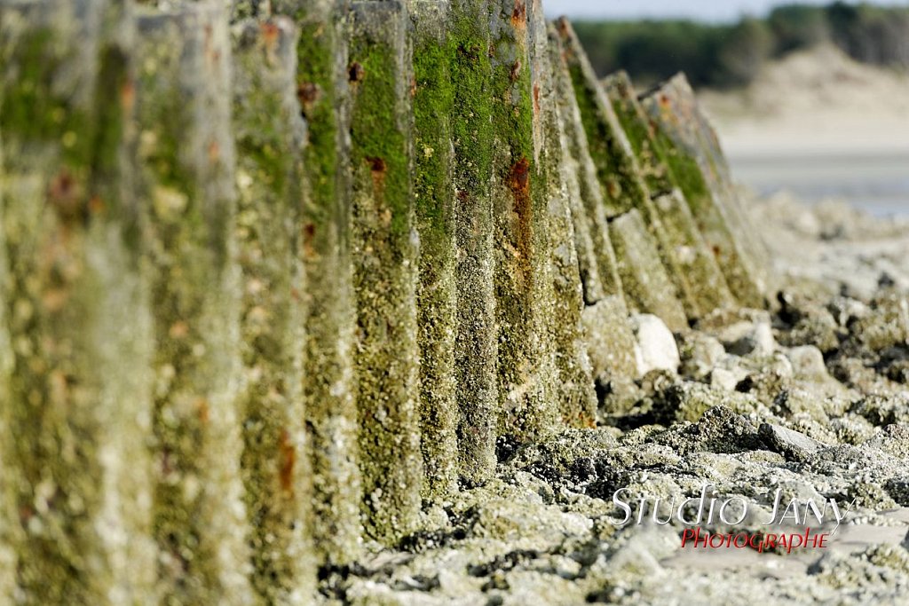 Berck-sur-Mer-0329.jpg