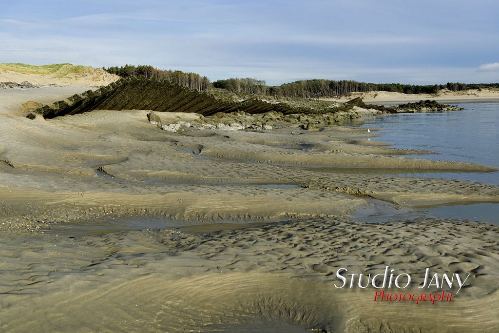 Berck-sur-Mer-0330.jpg