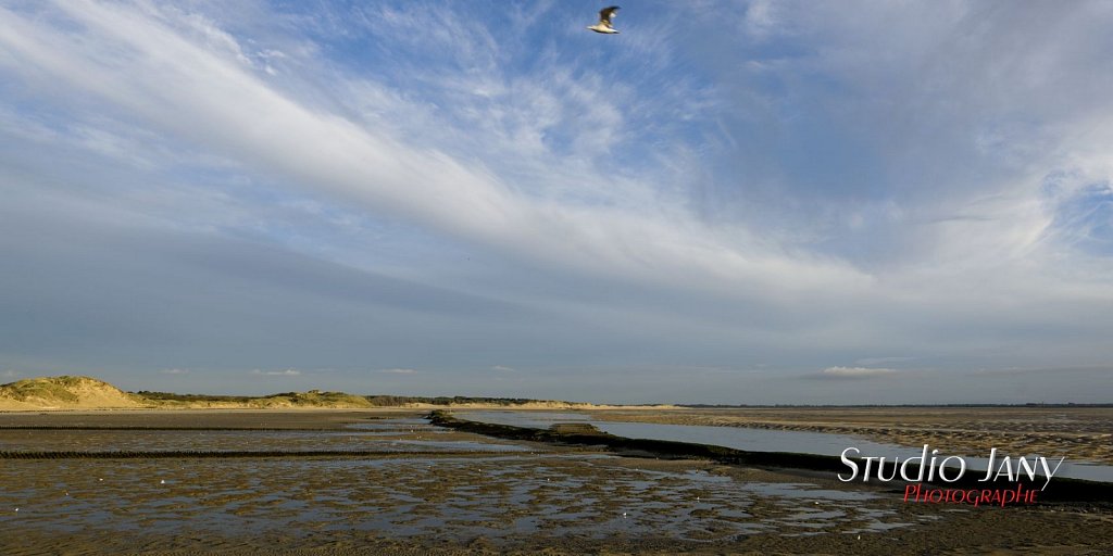 Berck-sur-Mer-0335.jpg