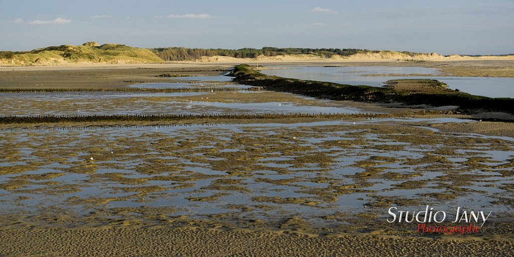 Berck-sur-Mer-0336.jpg