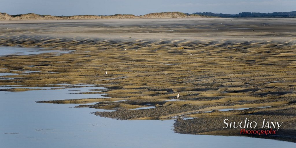 Berck-sur-Mer-0337.jpg