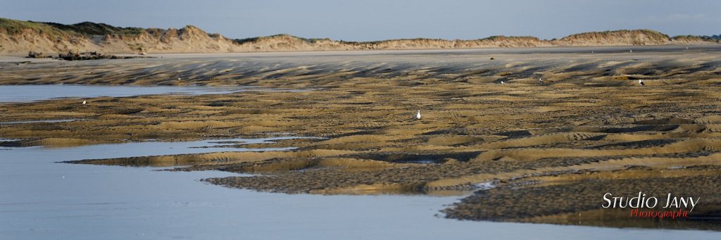 Berck-sur-Mer-0338.jpg