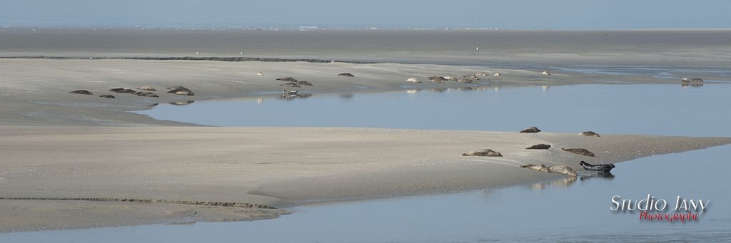 Berck-sur-Mer-0343.jpg