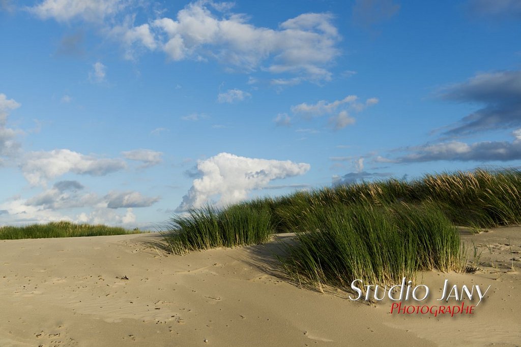 Berck-sur-Mer-0350.jpg