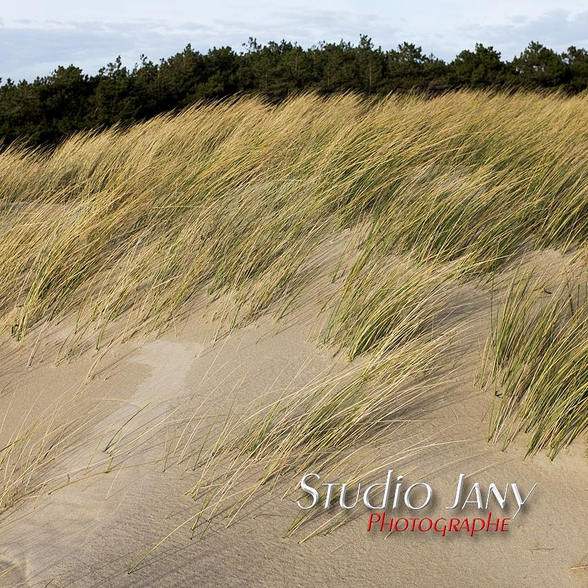 Berck-sur-Mer-0442.jpg