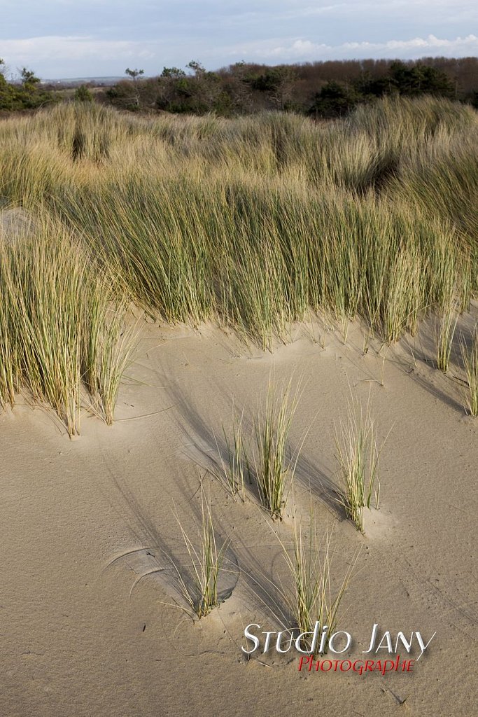 Berck-sur-Mer-0443.jpg