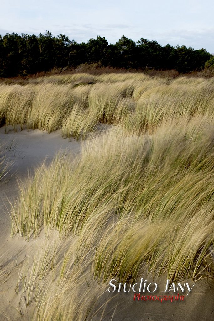 Berck-sur-Mer-0444.jpg