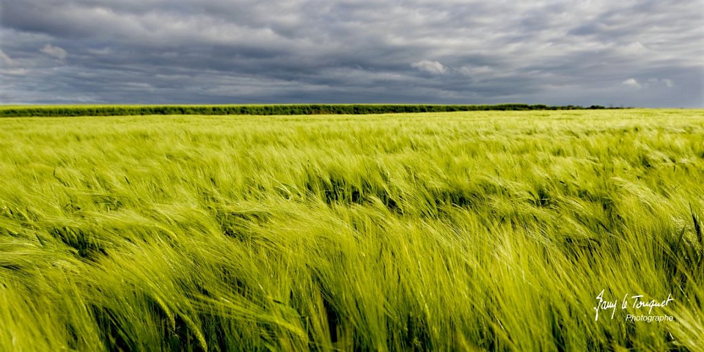 Notre-Campagne-0095.jpg