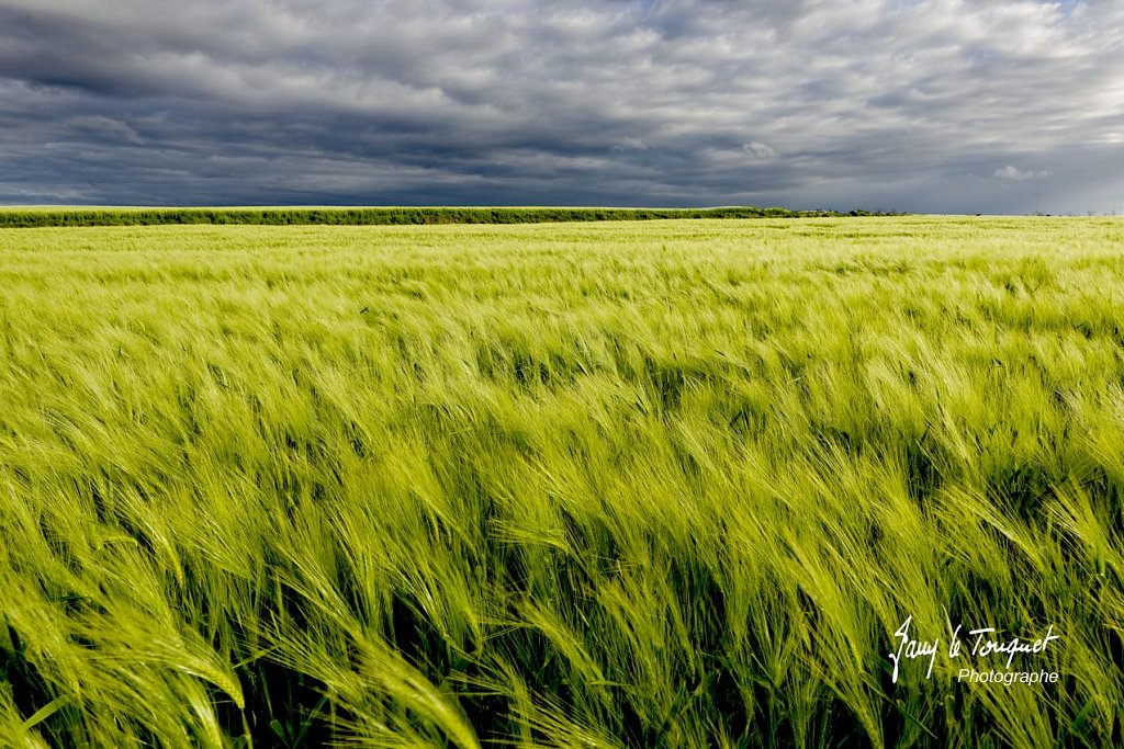 Notre-Campagne-0094.jpg