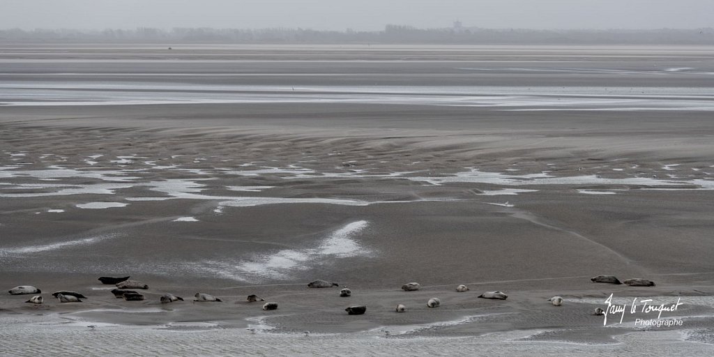 Berck-sur-Mer-0492.jpg