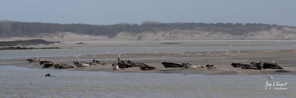 Berck-sur-Mer-0494.jpg