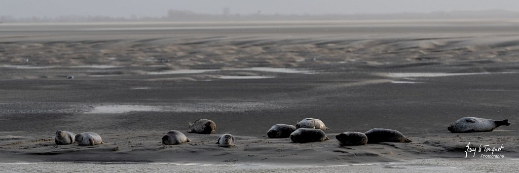 Berck-sur-Mer-0495.jpg