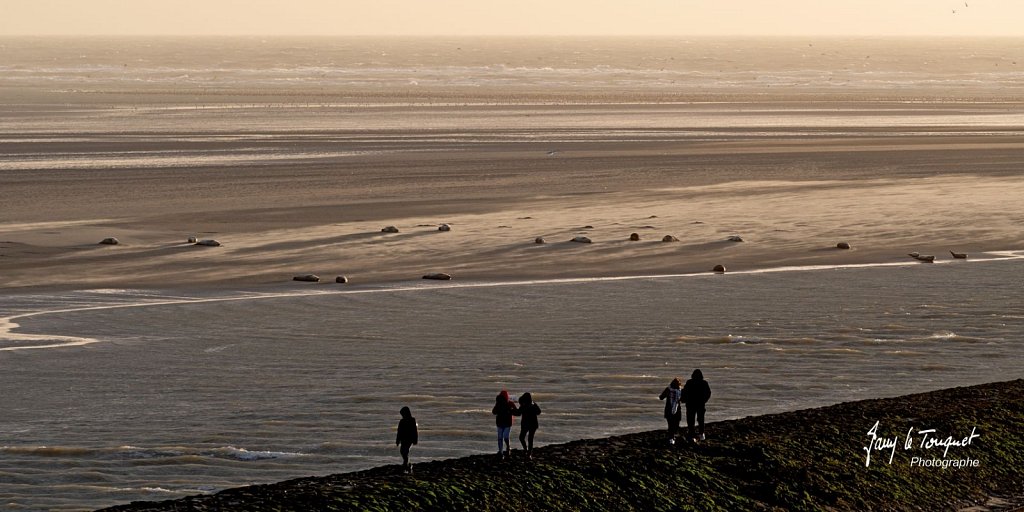 Berck-sur-Mer-0523.jpg