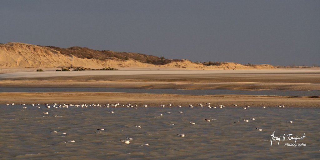 Berck-sur-Mer-0528.jpg