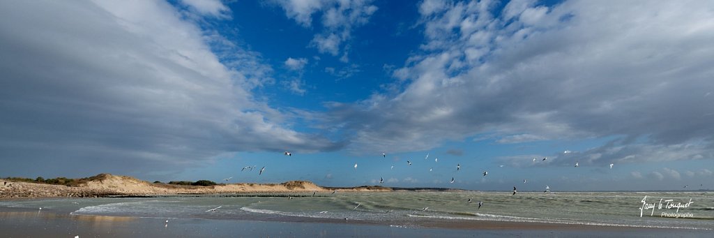 Berck-sur-Mer-0536.jpg