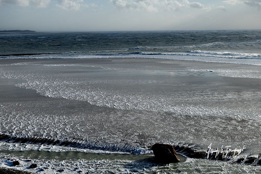 Berck-sur-Mer-0543.jpg