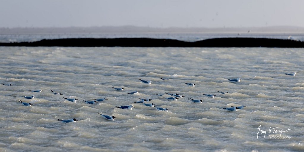 Berck-sur-Mer-0546.jpg