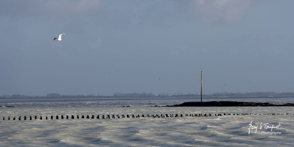 Berck-sur-Mer-0547.jpg