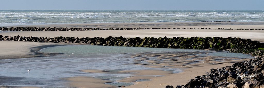 Berck-sur-Mer-0592.jpg