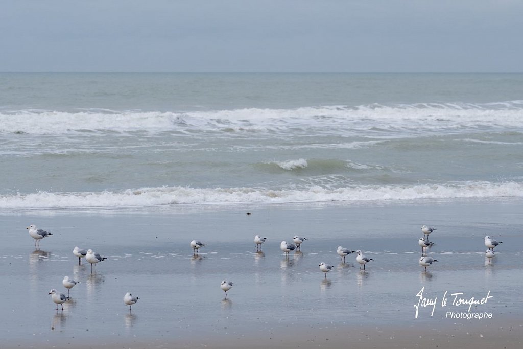 Berck-sur-Mer-0611.jpg