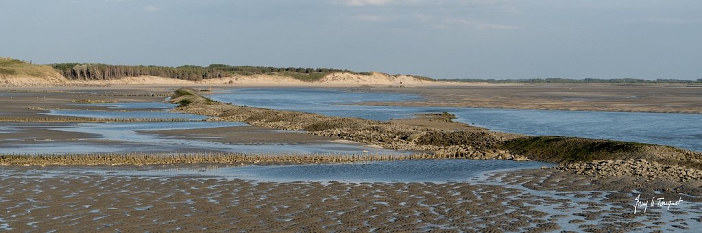 Berck-sur-Mer-0666.jpg