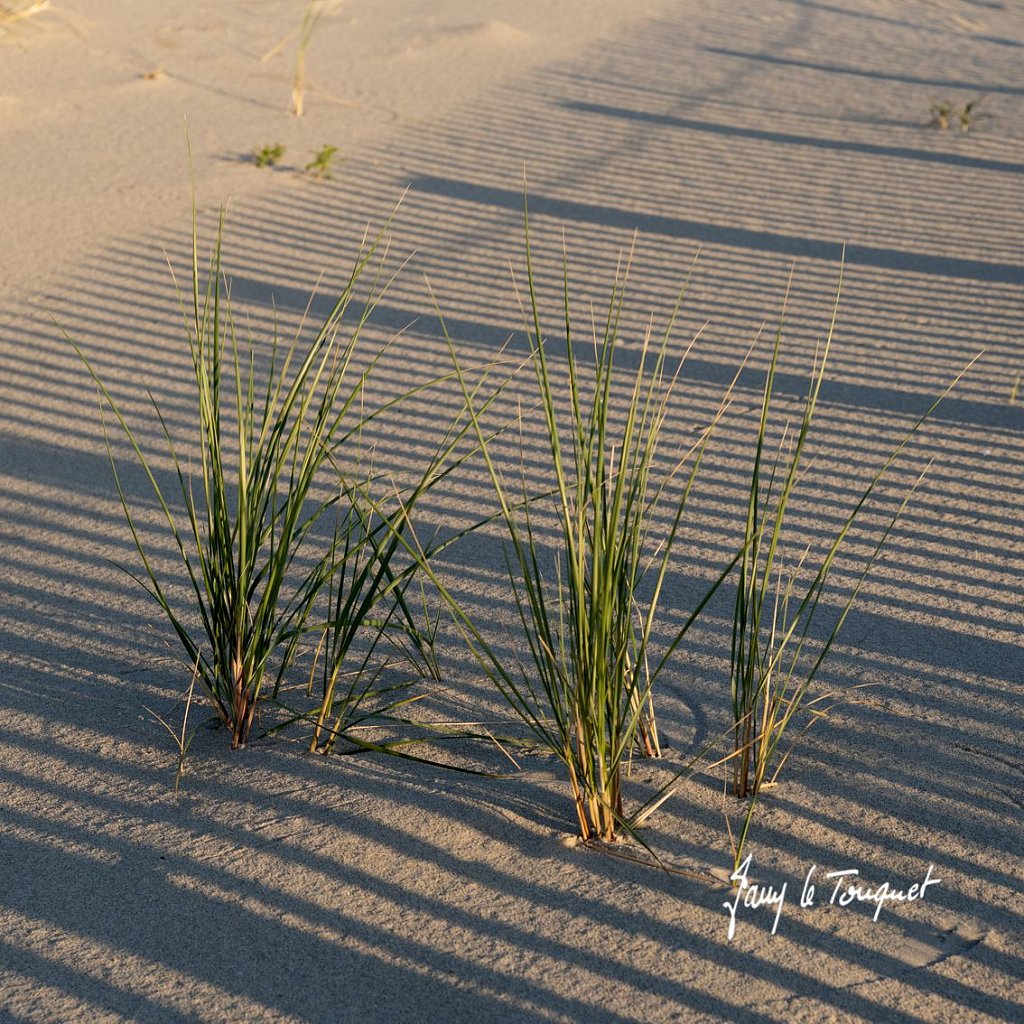 Berck-sur-Mer-0669.jpg