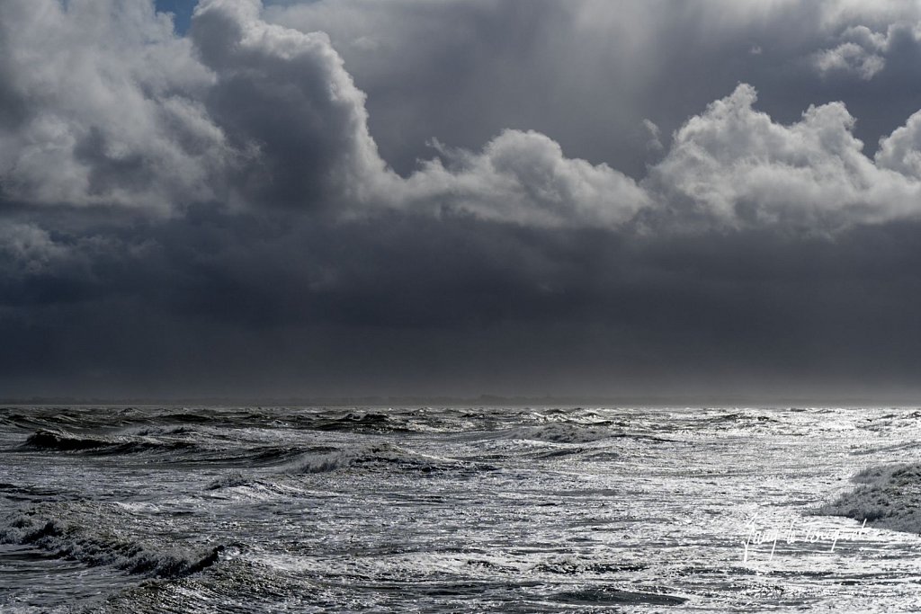 Berck-sur-Mer-0694.jpg