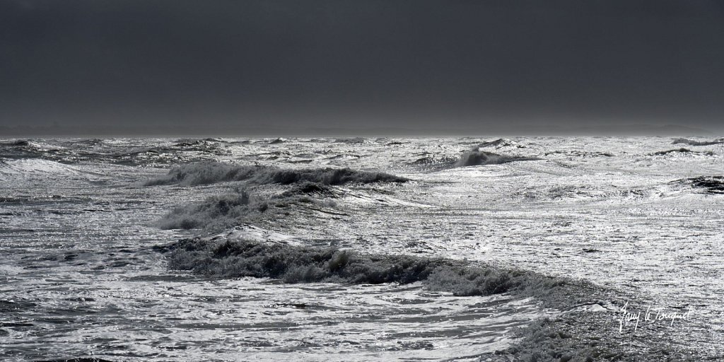 Berck-sur-Mer-0695.jpg