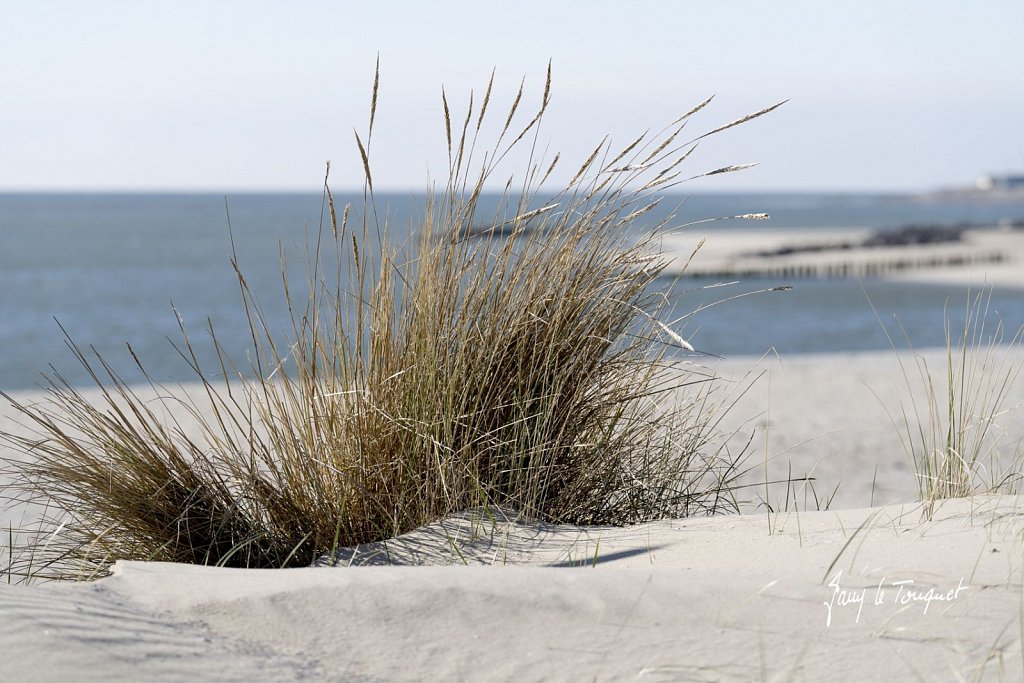 Berck-sur-Mer-0716.jpg