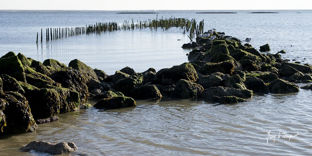 Berck-sur-Mer-0721.jpg