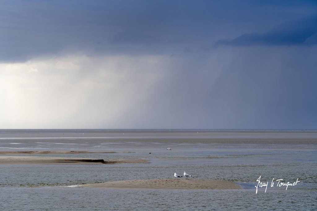 Berck-sur-Mer-0728.jpg