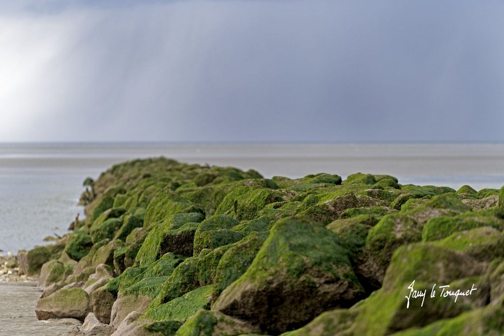 Berck-sur-Mer-0729.jpg