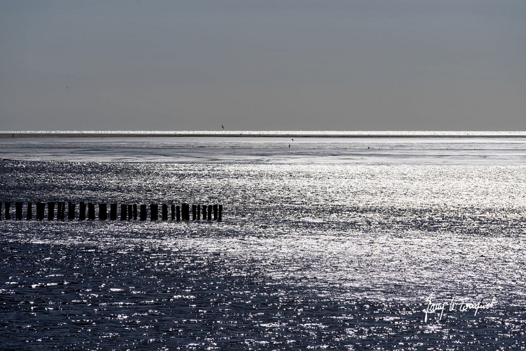 Berck-sur-Mer-0756.jpg