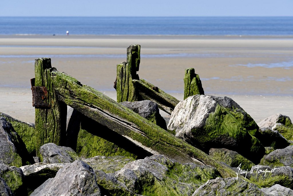 Berck-sur-Mer-0777.jpg