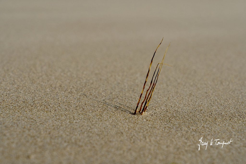 Berck-sur-Mer-0783.jpg