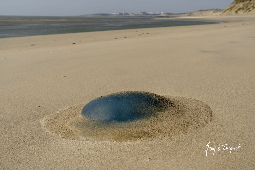 Berck-sur-Mer-0787.jpg