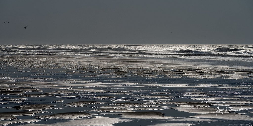 Berck-sur-Mer-0809.jpg