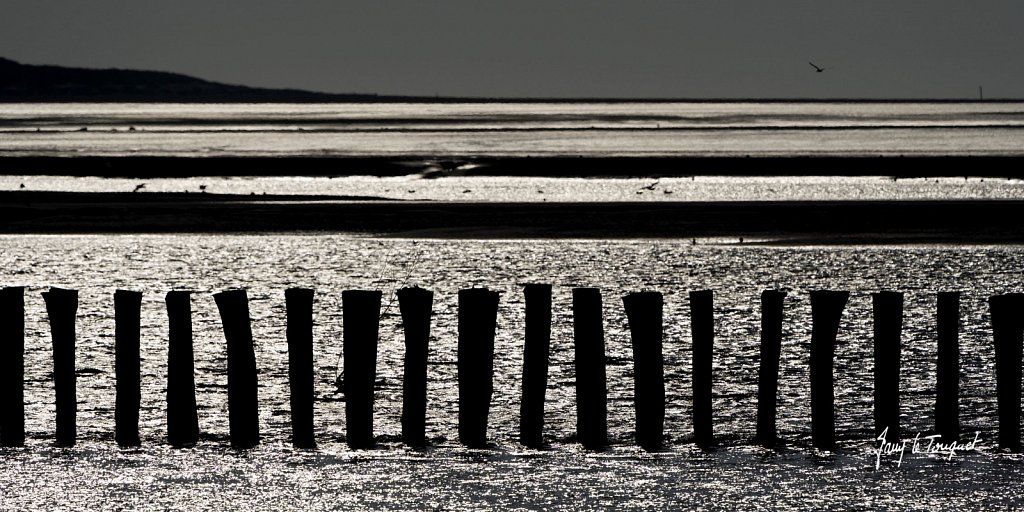 Berck-sur-Mer-0813.jpg