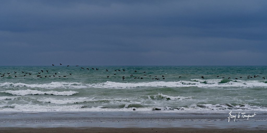 Berck-sur-Mer-0833.jpg