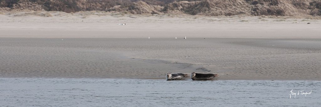 Le-Touquet-0008.jpg