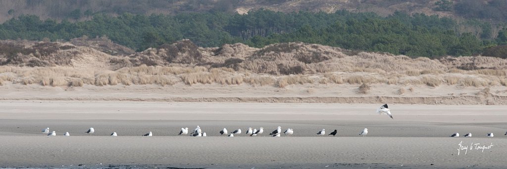 Le-Touquet-0009.jpg