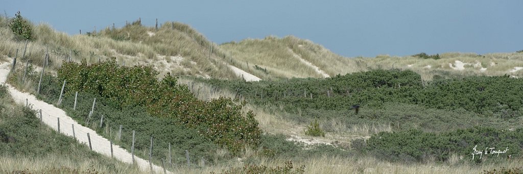 Le-Touquet-0096.jpg
