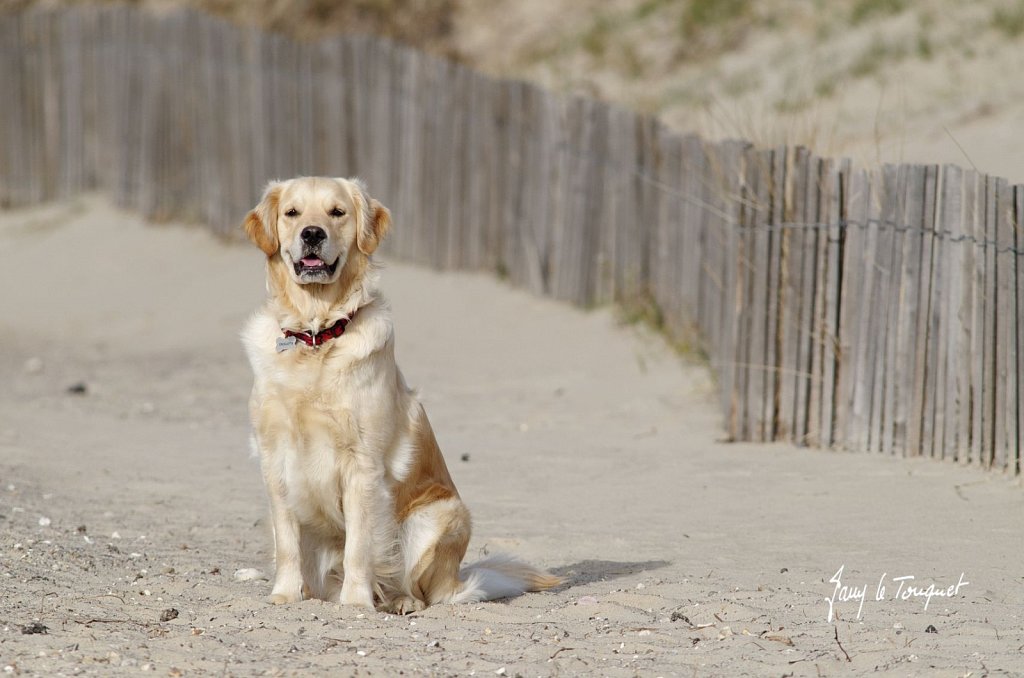 Le-Touquet-0121.jpg