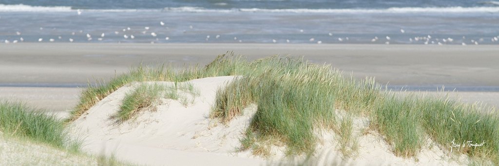 Le-Touquet-0122.jpg