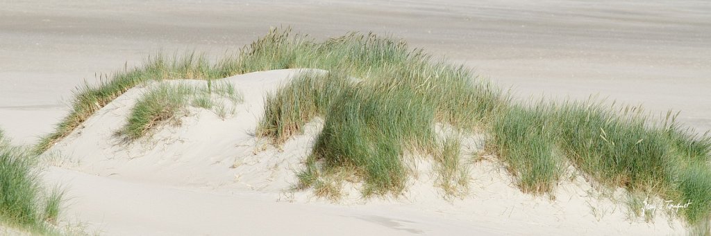Le-Touquet-0123.jpg