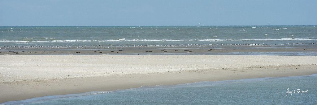 Le-Touquet-0165.jpg