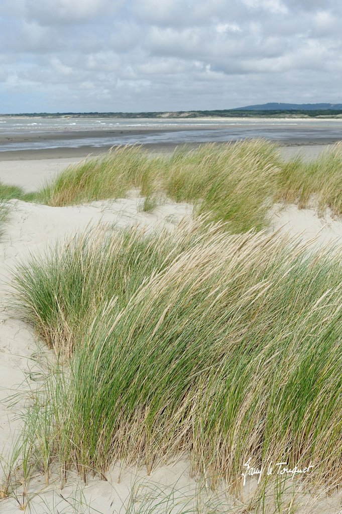 Le-Touquet-0168.jpg