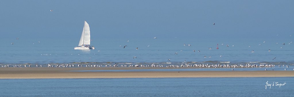 Le-Touquet-0206.jpg