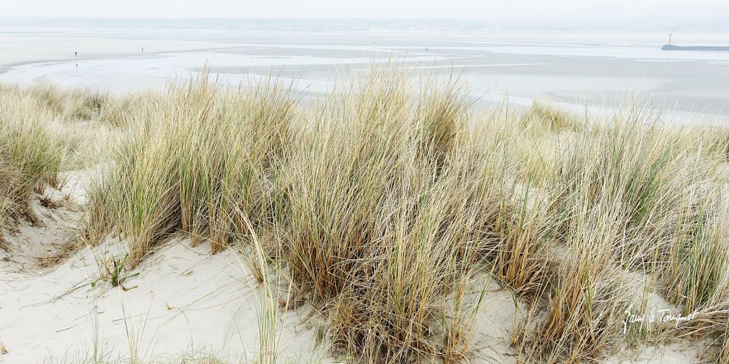 Le-Touquet-0244.jpg